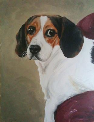 Pet Portrait beagle