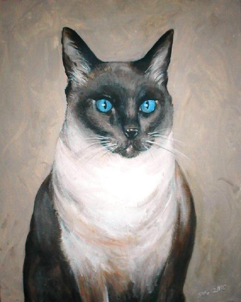 Blue point siamese cat portrait